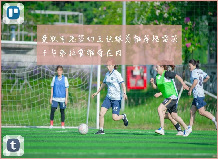 曼联可免签的五位球员推荐格雷茨卡与弗拉霍维奇在内
