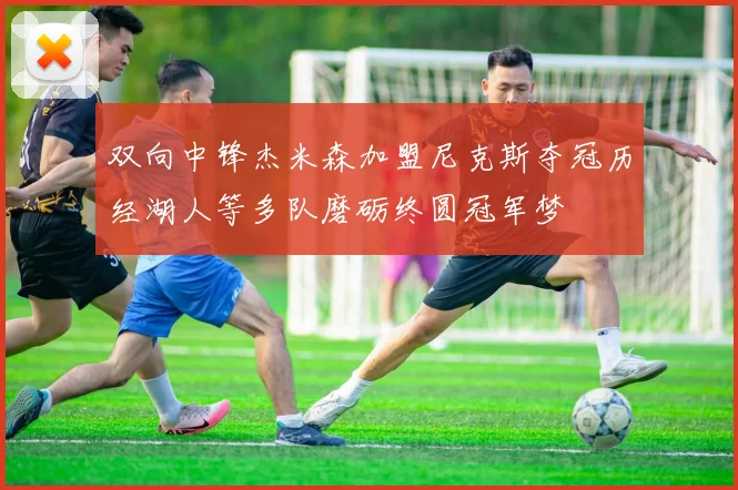 双向中锋杰米森加盟尼克斯夺冠历经湖人等多队磨砺终圆冠军梦