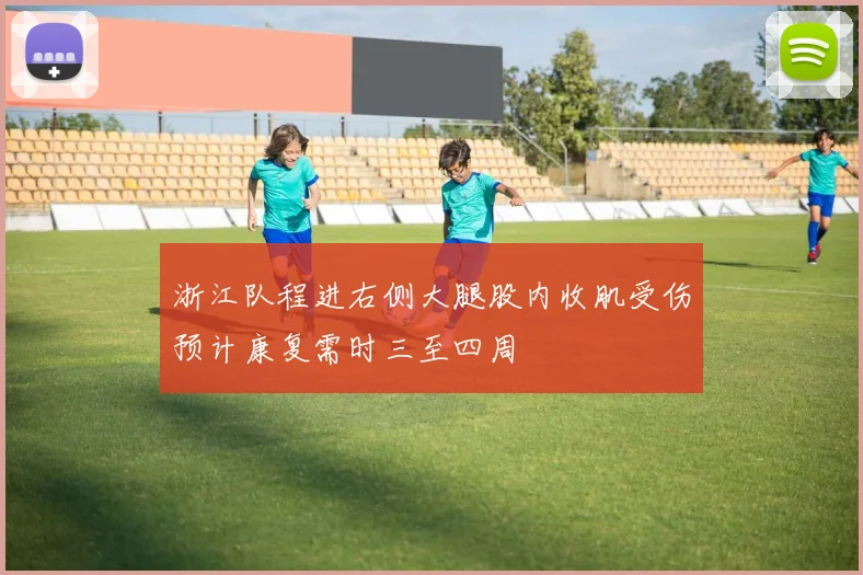浙江队程进右侧大腿股内收肌受伤预计康复需时三至四周