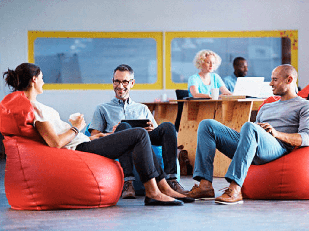 Commercial Use of leather bean bag