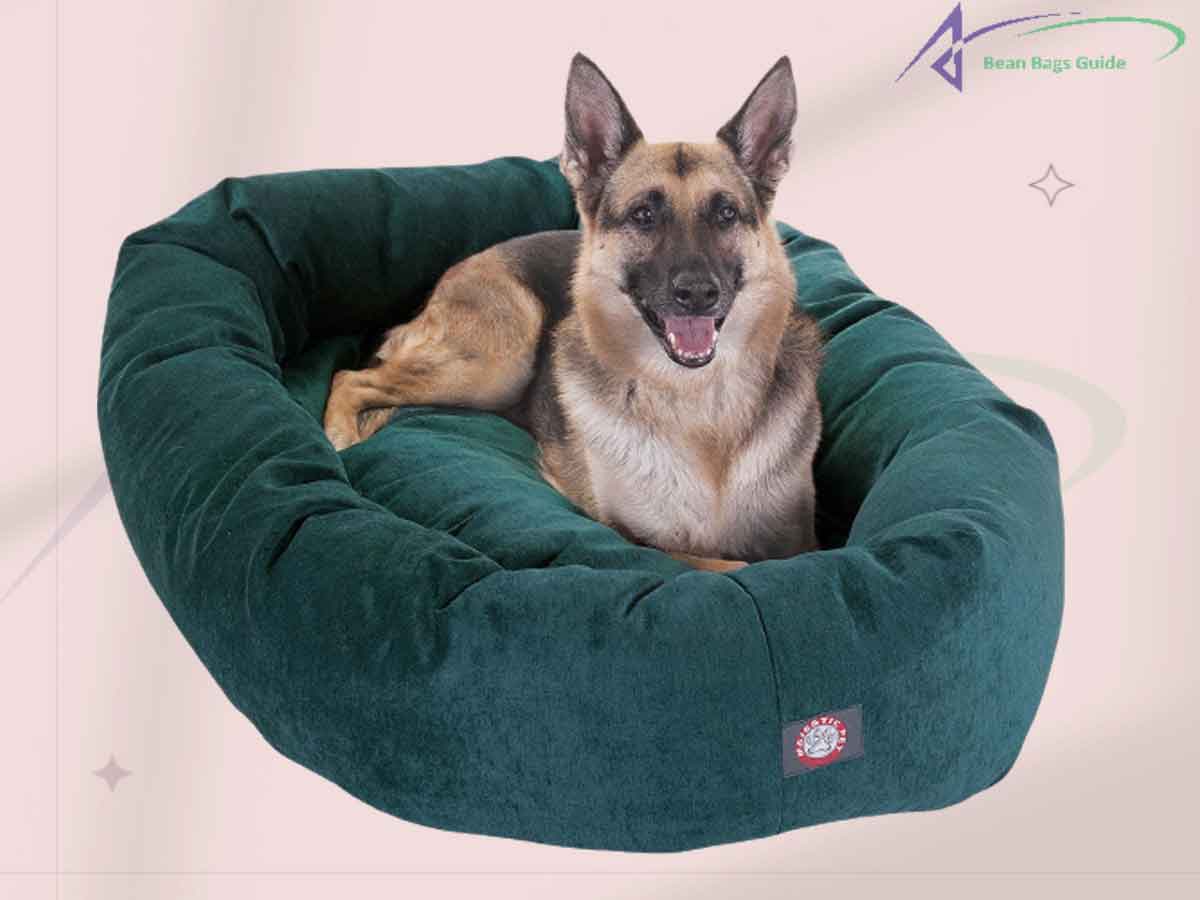 Are Bean Bags Safe for Dogs
